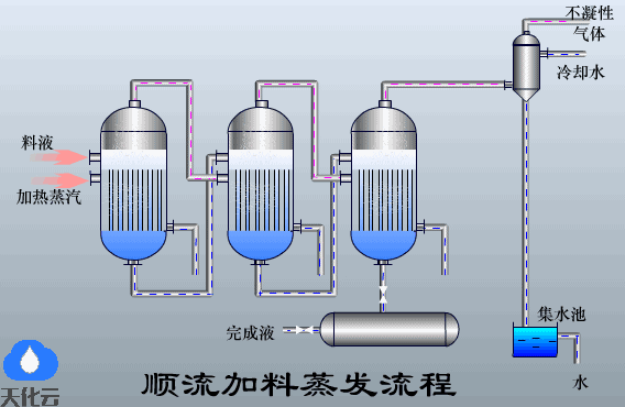 順流加料蒸發流程
